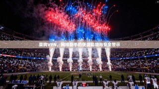 菜狗VPN，网络新手的便捷陷阱与安全警示