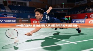 VPN要交钱吗？揭秘虚拟私人网络的费用真相与选择策略