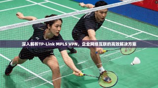 深入解析TP-Link MPLS VPN，企业网络互联的高效解决方案