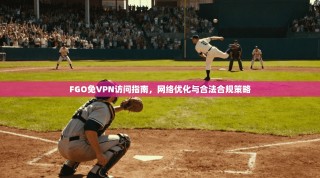FGO免VPN访问指南，网络优化与合法合规策略