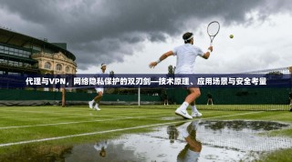 代理与VPN，网络隐私保护的双刃剑—技术原理、应用场景与安全考量
