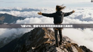 飞猫VPN，便捷与风险并存的网络隧道工具解析