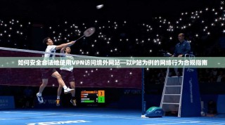 如何安全合法地使用VPN访问境外网站—以P站为例的网络行为合规指南