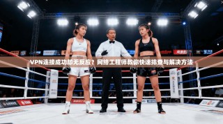 VPN连接成功却无反应？网络工程师教你快速排查与解决方法