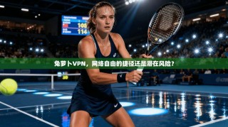 兔萝卜VPN，网络自由的捷径还是潜在风险？