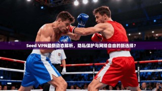 Seed VPN最新动态解析，隐私保护与网络自由的新选择？