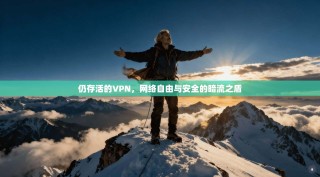 仍存活的VPN，网络自由与安全的暗流之盾