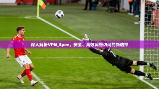 深入解析VPN_Spee，安全、高效网络访问的新选择
