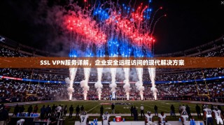 SSL VPN服务详解，企业安全远程访问的现代解决方案