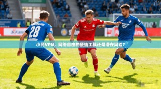 小民VPN，网络自由的便捷工具还是潜在风险？