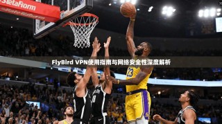 FlyBird VPN使用指南与网络安全性深度解析