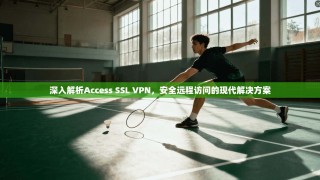 深入解析Access SSL VPN，安全远程访问的现代解决方案