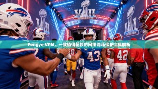 Fengye VPN，一款值得信赖的网络隐私保护工具解析