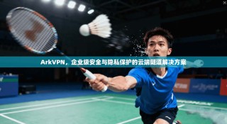 ArkVPN，企业级安全与隐私保护的云端隧道解决方案