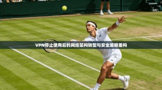VPN停止使用后的网络架构转型与安全策略重构