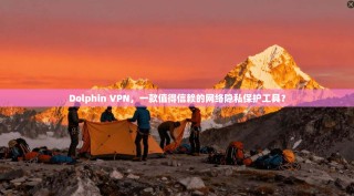 Dolphin VPN，一款值得信赖的网络隐私保护工具？
