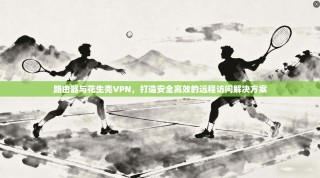 路由器与花生壳VPN，打造安全高效的远程访问解决方案