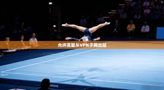允许流量从VPN子网出站