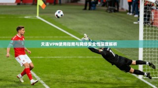 天连VPN使用指南与网络安全性深度解析