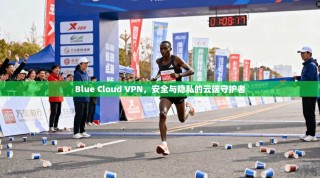 Blue Cloud VPN，安全与隐私的云端守护者