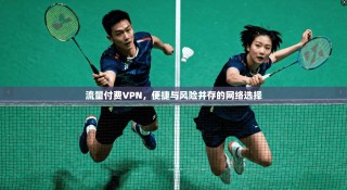 流量付费VPN，便捷与风险并存的网络选择