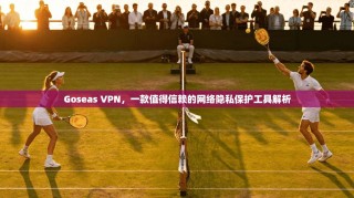 Goseas VPN，一款值得信赖的网络隐私保护工具解析