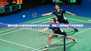 国内付费VPN服务的合规性与技术挑战，网络工程师视角下的深度解析