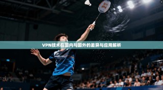 VPN技术在国内与国外的差异与应用解析