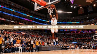 高梯子与云梯VPN，网络自由的双刃剑—技术便利背后的隐忧