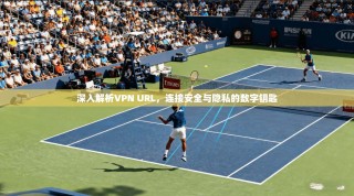 深入解析VPN URL，连接安全与隐私的数字钥匙