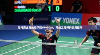 如何安全高效地下载VPN Cat，网络工程师的实用指南
