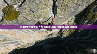 泡泡VPN收费吗？全面解析其定价模式与使用建议