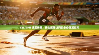 SSL VPN 设置详解，安全远程访问的必备配置指南