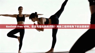 Goolmm Free VPN，安全与隐私的双刃剑？网络工程师视角下的深度解析