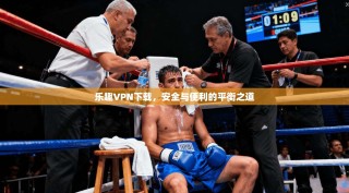 乐趣VPN下载，安全与便利的平衡之道