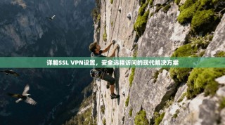 详解SSL VPN设置，安全远程访问的现代解决方案
