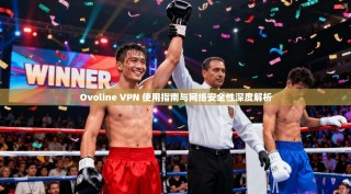 Ovoline VPN 使用指南与网络安全性深度解析