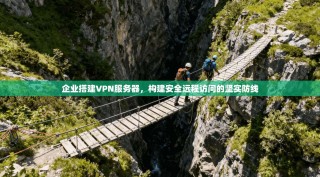 企业搭建VPN服务器，构建安全远程访问的坚实防线