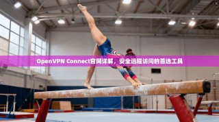 OpenVPN Connect官网详解，安全远程访问的首选工具