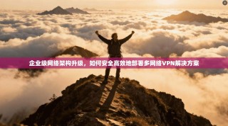 企业级网络架构升级，如何安全高效地部署多网络VPN解决方案