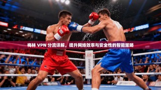 梅林 VPN 分流详解，提升网络效率与安全性的智能策略