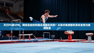 天行PC版VPN，网络自由的利器还是潜在风险？从技术角度解析其安全性与使用场景