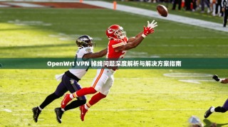 OpenWrt VPN 掉线问题深度解析与解决方案指南