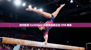 如何配置 FortiClient 以安全连接企业 VPN 网络