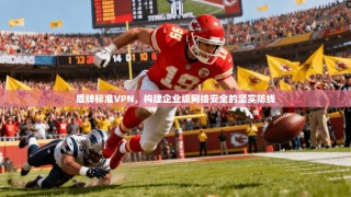 盾牌标准VPN，构建企业级网络安全的坚实防线