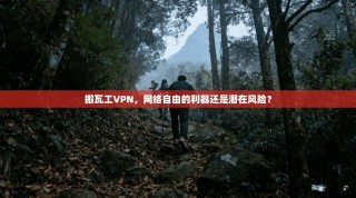 搬瓦工VPN，网络自由的利器还是潜在风险？