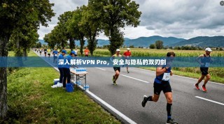 深入解析VPN Pro，安全与隐私的双刃剑