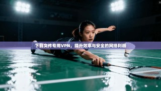 下载文件专用VPN，提升效率与安全的网络利器