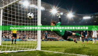Chromium浏览器中使用VPN插件崩溃问题的深度排查与解决方案
