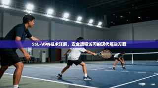 SSL-VPN技术详解，安全远程访问的现代解决方案